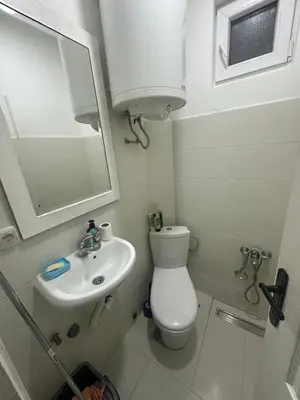 a bathroom with a toilet and a sink and a mirror at Namesten apartman na dan in Voždovac