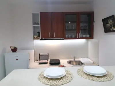 a kitchen with two plates on a counter with a sink at Apartmani Glorija in Arandjelovac