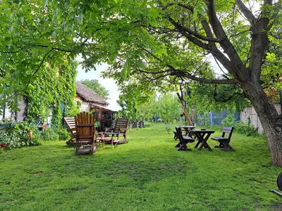 a group of picnic tables and chairs under a tree at danguba 2 in Nova Pazova