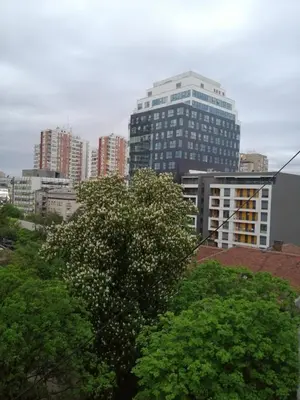 a city skyline with tall buildings and trees at Caviar in Belgrade