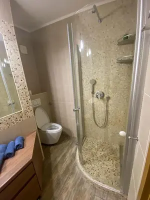 a bathroom with a shower and a toilet in it at Lord's Apartment in Belgrade