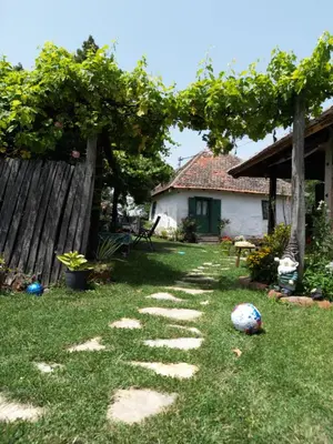 a garden with a stone path in front of a house at Gajica konak-Orasac in Arandjelovac