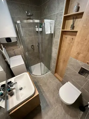a bathroom with a shower and a sink and a toilet at Selena apartment in Belgrade