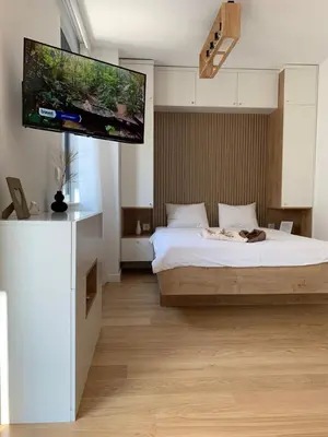 a bedroom with a bed with a flat screen tv on the wall at Selena apartment in Belgrade