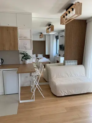 a living room with a bed and a table and a kitchen at Selena apartment in Belgrade