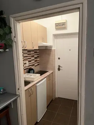 a kitchen with a sink and a white door at Grey in Belgrade