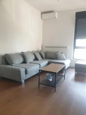 a living room with a couch and a coffee table at Minel cosy apartment in Belgrade
