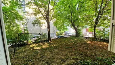 a view from a window of a yard with trees at Aurora in Belgrade