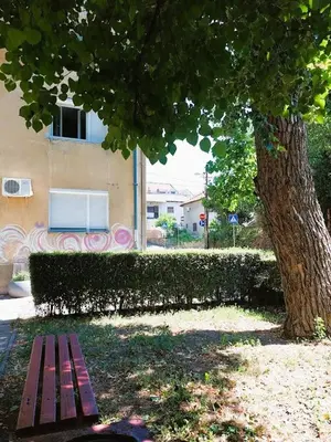 a wooden bench sitting under a tree next to a building at Golden Place Belgrade in Belgrade