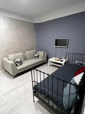 a living room with a bed and a couch at Sandra City Center Apartment in Belgrade