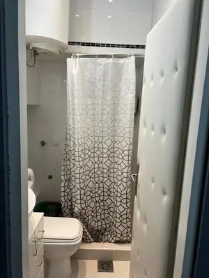 a bathroom with a shower curtain and a toilet at Sandra City Center Apartment in Belgrade