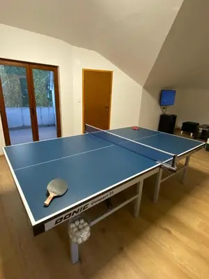 a ping pong table with a ball on top of it at House Reko in Novi Grad