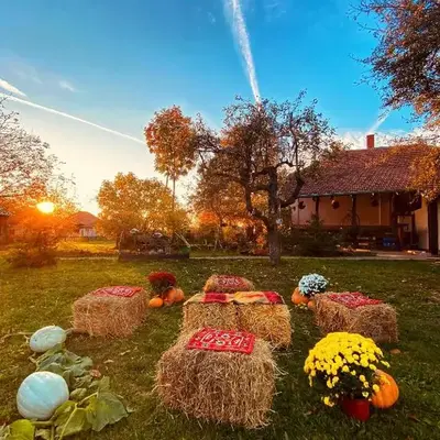 Bukovički mir