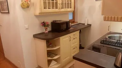 a small kitchen with a counter with a microwave at Modern Lux Studio w Inside parking 5 min from Skadarlija, Republic Sqre in Belgrade