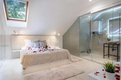 a bedroom with a bed and a glass shower at Alex Central Apartments in Belgrade
