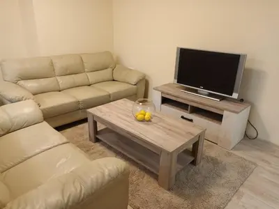 a living room with a couch and a table with a television at Apartman Marina in Sajmište
