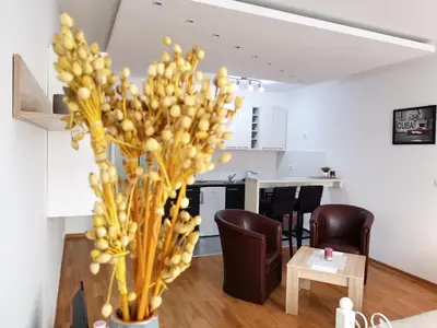 a living room with a vase with a yellow plant at VIKONT studio apartment with parking 5 eur per day in Belgrade