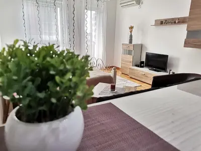 a living room with a table with a potted plant at VIKONT studio apartment with parking 5 eur per day in Belgrade