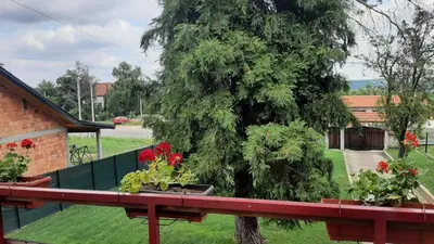 a tree on a fence with flowers in a yard at Green sanctuary 30 min from downtown Belgrade in Donja Ralja