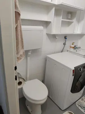 a small bathroom with a white toilet in it at Apartment Miljakovac in Belgrade