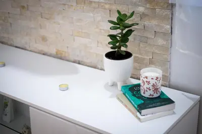a plant in a vase sitting on a white table at Apartman Janković in Arandjelovac