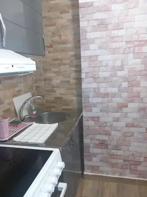 a kitchen with a sink and a brick wall at Libero 78 in Vračar (historical)