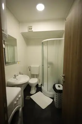 a bathroom with a shower and a toilet and a sink at Apartman Dana in Nova Pazova
