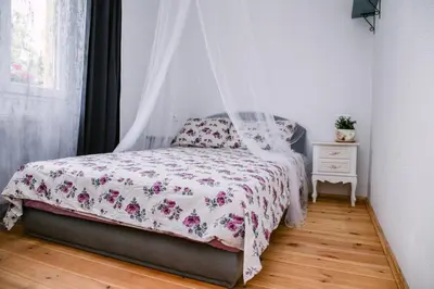 a bedroom with a bed with a mosquito net at Kućerak Sofija in Čortanovci