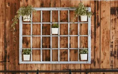 an old window with potted plants on a wooden wall at Kućerak Sofija in Čortanovci