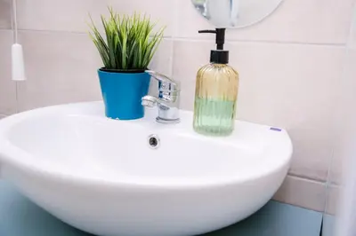 a bathroom sink with a soap bottle on top of it at Kućerak Sofija in Čortanovci
