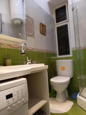 a small bathroom with a toilet and a sink at Evergreen in Belgrade