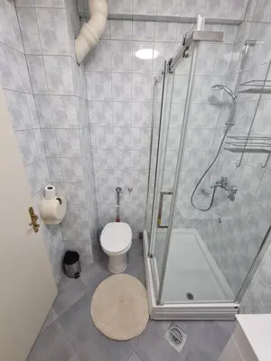 a bathroom with a shower and a toilet and a sink at Big Downtown Apartment across National Theater (2 Bedrooms) in Belgrade