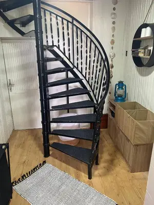 a black spiral staircase in a room with a box at Smokvica in Stari Slankamen