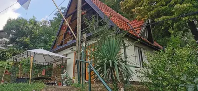 a house with a plant in front of it at Smokvica in Stari Slankamen