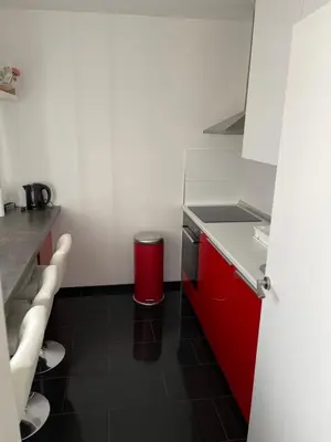 a small kitchen with red cabinets and a red trash can at Milan in Belgrade