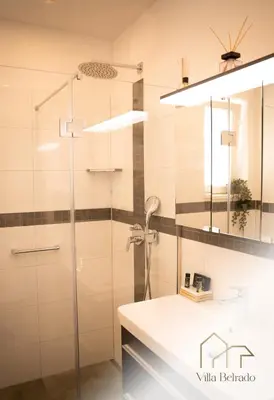 a bathroom with a shower and a white sink at Belrado Apartments in Belgrade