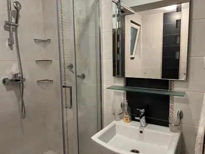 a bathroom with a shower and a sink and a mirror at Apartment Vračar in Belgrade