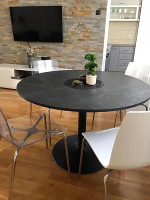 a black table with a potted plant and chairs at Apartment Arena Lux in Fontana