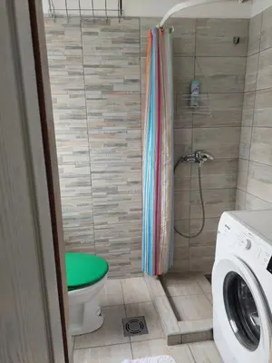 a small bathroom with a toilet and a shower at Apartment in the downtown - walking distance all attractions in Belgrade