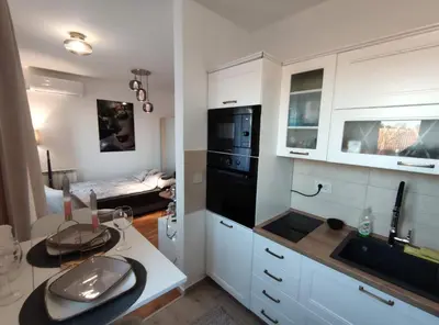 a kitchen with white cabinets and a black refrigerator at BellaCasa AirportStudio in Surčin