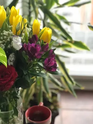 a vase filled with flowers sitting on a table at Sokolov Apartment in Smederevo