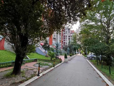 a street in a city with trees and buildings at Banjica 2 in Voždovac