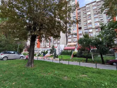 a tree in the grass next to a building at Banjica 2 in Voždovac