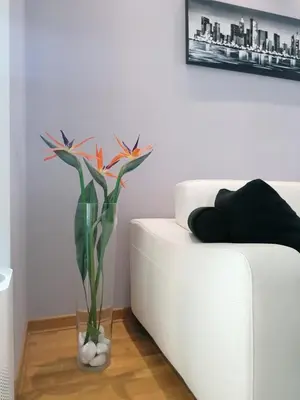 a vase with flowers sitting next to a white couch at Apartment Belville, Suncokret 34 in Novi Beograd