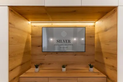 a television on a wooden wall with two potted plants at Silver Luxury Suites in Belgrade