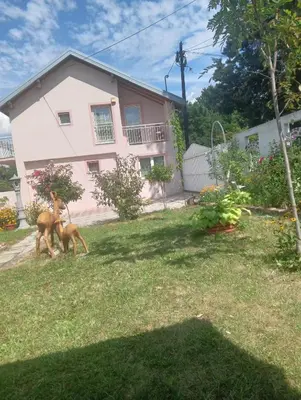 two dogs playing in the yard of a house at Lux Apartmans-VILA MALI RAJ in Udovice