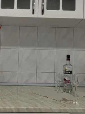 a bottle of alcohol and two wine glasses on a counter at Belgrade centrum in Karaburma