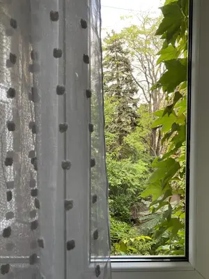 an open window with a view of a garden at Belgrade centrum in Karaburma