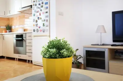 a yellow pot with a plant in a kitchen at Lion Apartment - Belgrade in Belgrade