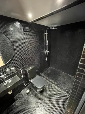a bathroom with a toilet and a sink and a shower at Splav Shoom in Ostružnica